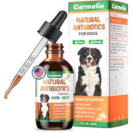Natural Antibiotics for Dogs - Dog Antibiotics for Infection, Allergy, Itch Relief, Immune Support, Dog and Cat Multivitamin for Pets, Supports Immunity System and Skin Health - 60 ml/2 Fl Oz
