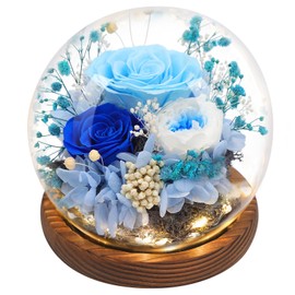 Eyesofspring Preserved Rose Flowers, Unique Floral Gifts for Women, Long-Lasting Real Flowers Bouquet to Show Love on Valentine's Day, Mother's Day,Birthday,Anniversary,Special days - Style6