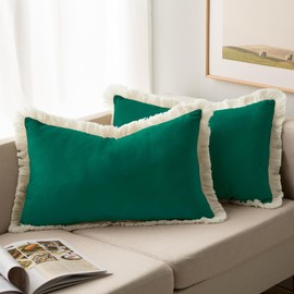 DWCN Velvet Throw Pillow Covers,Set of 2 Decorative Pillows,Soft Velvet Covers with Tassels and Invisible Zipper for Livingroom Bedroom Modern Home Decor 12x20 Inch Emerald Green