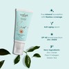 Wotnot Natural Face Sunscreen TINTED TAN BB Cream SPF 40,