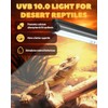 GlowUp 8W T5 UVB Light Reptile Kit, 10% UVB for