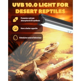 GlowUp 8W T5 UVB Light Reptile Kit, 10% UVB for Tropical Desert Reptiles, 31.5cm / 12.4in UVB Reptile Light Fixture with High Output T5 10.0 UVB Tube for Bearded Dragon, Lizard, Tortoise, Gecko