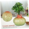 Gatuida Fruit Shaped Ceramic Vase for Dining Table Hydroponic Plant