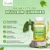 Vazatisi Mullein Gummies, Mullein Leaf Extract with Bromelain, Quercetin, Pine