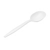 ELEGANT DISPOSABLES 1,000 Plastic Disposable Soup Spoons Bulk White Medium