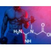 VITA PHARMA Beta Alanine 500mg 240 Capsules | Sports Nutrition