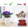 ShineMe Self Watering Pots, 5 Pack Self Watering Planters for