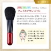Takumi Cosmetics RB-S801 Kumano Brush True Selection Makeup Brush Set,