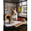 Rabbit Toys 10-Pack with Jingle Bells, Interactive Cage Enrichment Balls
