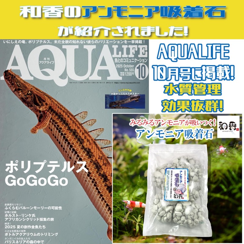 Waka Ammonia Adsorption Stone ★Reliable Genuine Product from Waka★ Sand