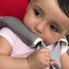 DorDor & GorGor Organic Baby Seat Belt Cushion, Extra Plush,