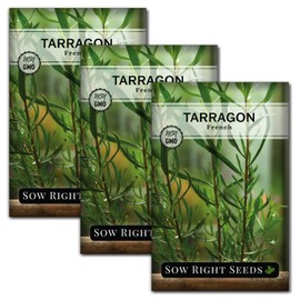 Sow Right Seeds - French Tarragon Seeds for Planting - Non-GMO Heirloom Packet with Instructions to Plant an Outdoor or Indoor Herb Garden - Culinary Leafy Green - Long Lasting Perennial Seasoning (3)