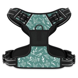 Rnivvi No Pull Dog Harness, Cute Reflective Small Sized Puppy Kitten Harness, Adjustable Soft Padded Vest for Small Dogs, Cats, Heavy Duty Pet Vest with Easy Control Handle for Walking, Green Leaves