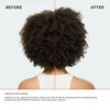 Olaplex N°.3PLUS Complete Repair Treatment: Pre-Shampoo, Repairs Damage & Future