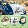 Just Married Wedding Backdrop Set with Just Married Sign, Eucalyptus