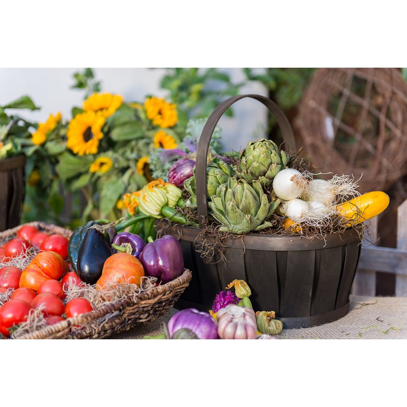 SuperMoss (26972) Spanish Moss Preserved, Coffee, 8oz (200 cubic inch)