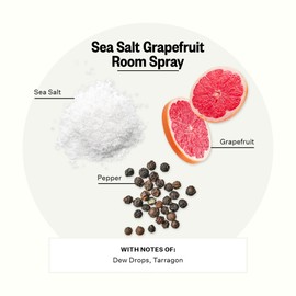 Apotheke Air Freshener Spray for Bathroom & Bedroom (Sea Salt Grapefruit) - Fragrant Room Spray with Essential Oil - Home Furniture Spray Deodorizer - Cotton Linen, Pillow, & Fabric Spray