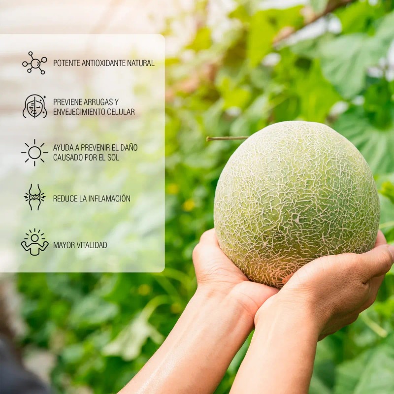Sod+ Superóxido Dismutasa Antioxidante 60 Cáps Padn - 2 Pack