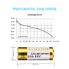 LiCB Baterías alcalinas A23 12V 23A (paquete de 10)