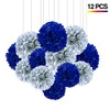 CC wonderland zone 12Pcs Navy Blue and Silver Hanging Tissue
