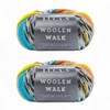 2PCs Superwash Sock Wool for Knitting, 4 Ply Sock Yarn