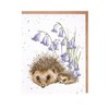 New Beginnings' Hedgehog Card Set