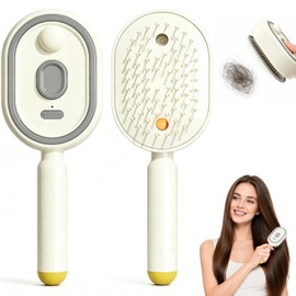 2026 Upgraded Electric Spray Air Cushion Massage Comb, 5-in-1 Rechargeable Air Cushion Hair Brush with Self-Cleaning & Anti-Static, Scalp Massage Detangling Brush for Frizzy Long & Short Hair (White)