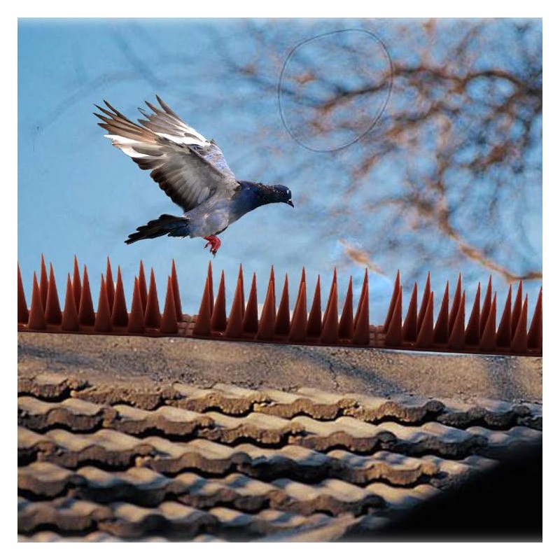 Bird Spike Strips for Outdoor Surfaces with Adhesive Strips (8,