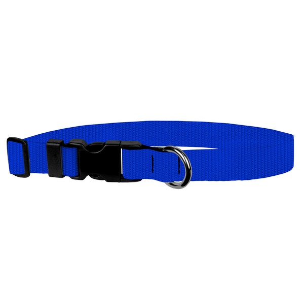 Moose Pet Wear Dog Collar - Colored Adjustable Pet Collars, Made in the USA - 1 Inch Wide, Large, Royal Blue