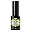 Top Gel 그라시아 지젤리 탑젤 14ml 기초젤네일 Gracia Gelish Top