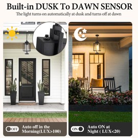 Osimir Outdoor Pendant Light, 16" Dusk to Dawn Exterior Chandelier Porch Hanging Light with Clear Glass, Modern Black Outdoor Hanging Lantern for Porchs Gazebo, OS-KY1006