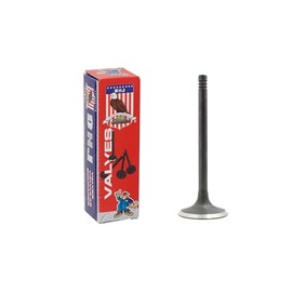 DNJ IV4137 Intake Valve for 1991-1999 Ford, Mazda, Mercury Aerostar, B3000, Probe 3.0L V6 12V OHV 2986cc