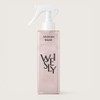 wisely Damage healing no-wash treatment 250ml / 데미지 힐링 뿌리는