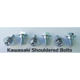 Specbolt 6PC Kawasaki Radiator Shroud Side Cover Fork Guard Bolt KX85 KX100 KX250F KX450F