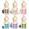 AROIC 6-Pack Car Air Freshener Set - Essential Oil Diffuser