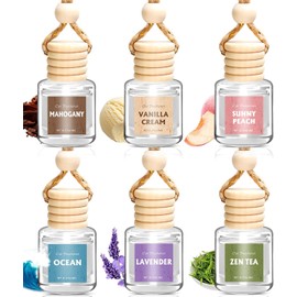 AROIC 6-Pack Car Air Freshener Set - Essential Oil Diffuser