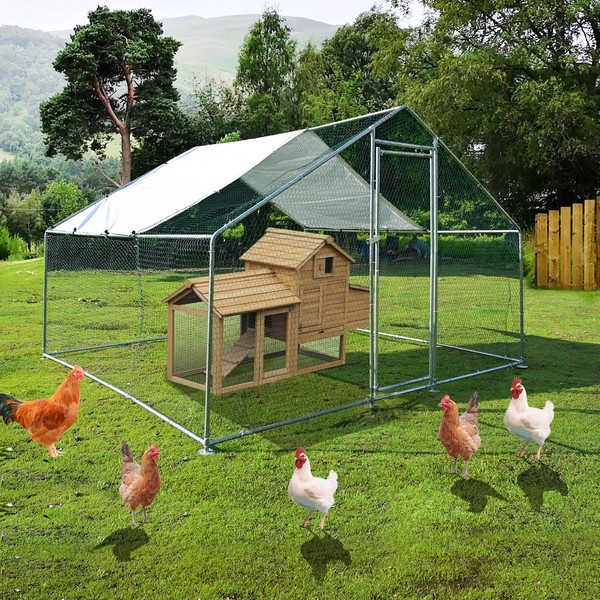 Large Metal Chicken Coops 9.8'L x 9.8'W x 6.6'H, Chicken