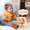 Koonie Talking Plush Golden Retriever Toy Repeats What You Say,