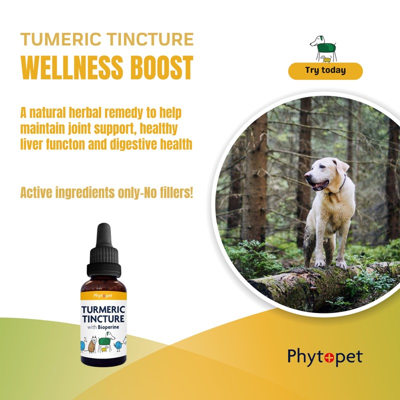 Phytopet Turmeric Root Extract | 100ml | Natural Anti-Inflammatory &