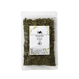 Spearmint Herbal Tea Organic 0.4 oz (10 g) [Trial Size]