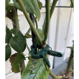 KB S24 - Pack of 100 Plant Clips Plant Holders Plant Ties Trellis for Tomatoes, Cucumbers, Roses or Similar Trellis Plants in 2 Sizes (50 Large + 50 Small)