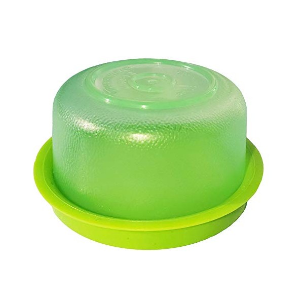 Tupperware Smidget Tiny Treasure Mini Bowl in Sheer Green with