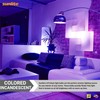 Sunlite 01096 Incandescent A19 Black Light Bulb, 75 Watts, E26