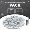 DOJA Barcelona Phillips Drilling Screw with PH2 Drill Tip |