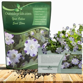 Outsidepride Nemophila Five Spot Annual Flower Seeds - 1000 Pcs Fast-Growing, Hardy & Self-Seeding Wildflower Seeds for Planting Vibrant Garden Flowers, Easy Blooms for Pollinator Gardens & Baskets