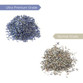 Lavande Sur Terre Dried Lavender Flower Buds for Crafts, Baking, Tea, DIY Projects, Sachets & Fresh Fragrance, 32 Ounces Bag (2 lbs.), LV-N-4