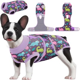 PetWarm Dog Post Surgery Suit Female Spay, Pet Recovery Suit for Dogs, Onesies for Dogs, Substitute E-Collar and Cone, Anti-Licking Dog Onesie for Surgery Female, Dinosaur Pattern, Purple, XS