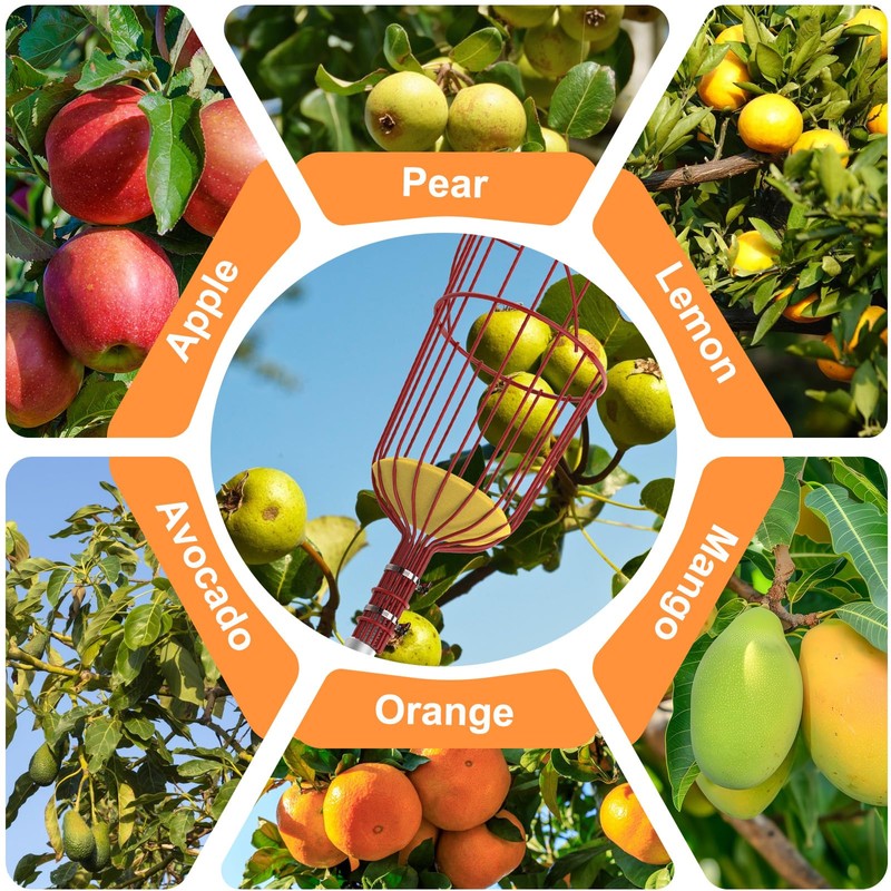 SISIUPASSIE 26FT Reach Fruit Picker, Apple Picker Pole with Basket