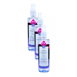 Florigan Repelente De Insectos Menta Y Romero Florigan® 250ml. 3pzs