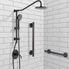 Lava Odoro Shower Grab Bar, Modern Stainless Steel Handicap Grab